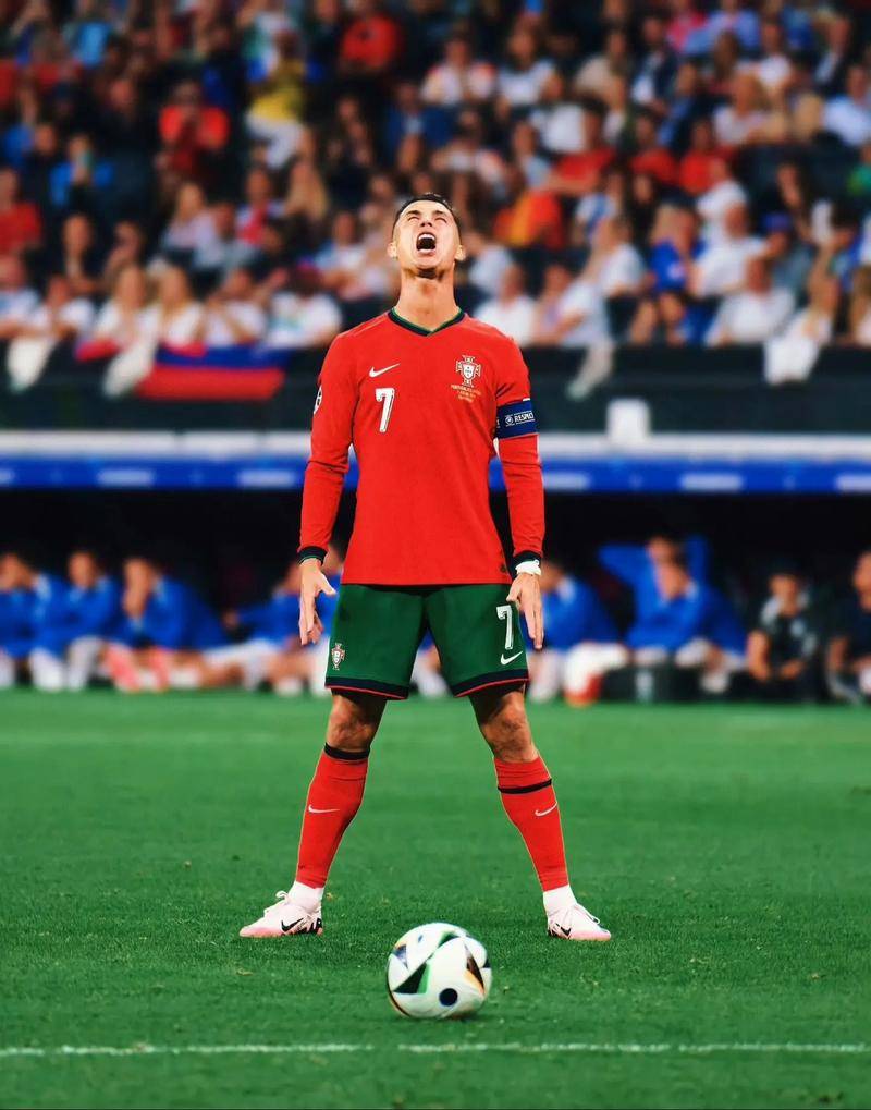 这不仅是对 这不仅是对