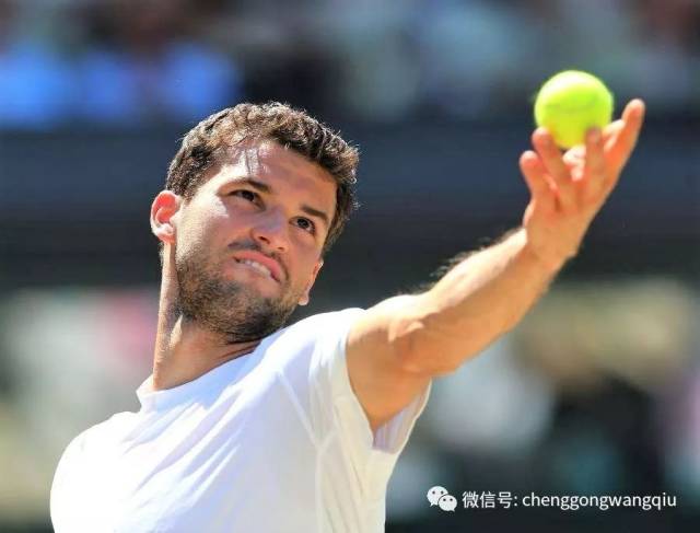 他回归后的 他回归后的